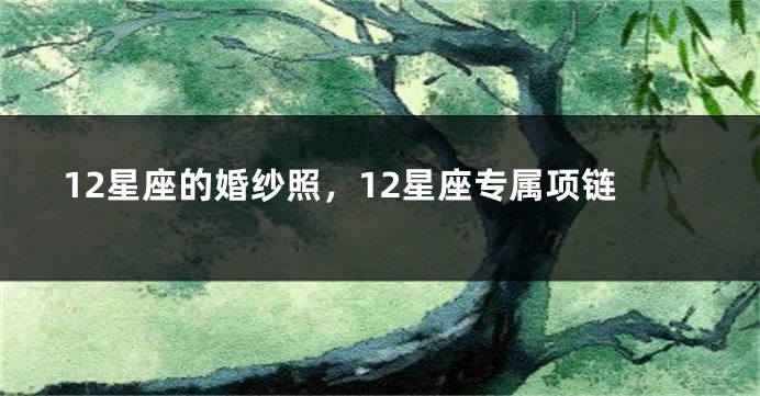 12星座的婚纱照，12星座专属项链