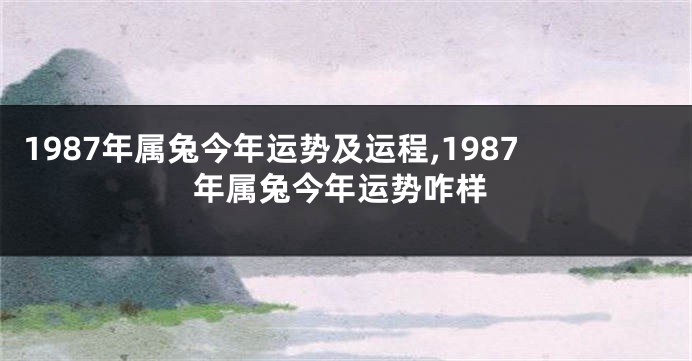 1987年属兔今年运势及运程,1987年属兔今年运势咋样