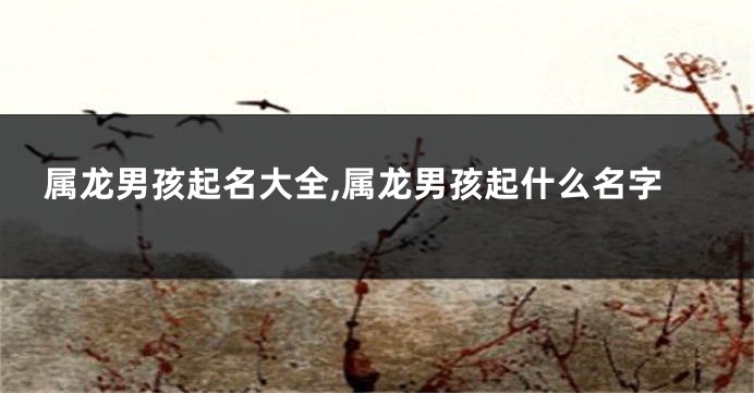 属龙男孩起名大全,属龙男孩起什么名字