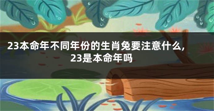 23本命年不同年份的生肖兔要注意什么,23是本命年吗