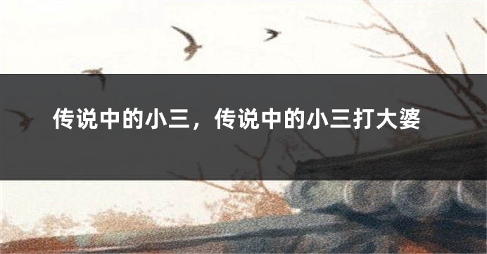 传说中的小三，传说中的小三打大婆