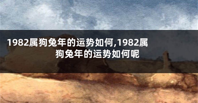1982属狗兔年的运势如何,1982属狗兔年的运势如何呢
