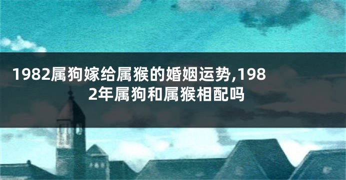 1982属狗嫁给属猴的婚姻运势,1982年属狗和属猴相配吗