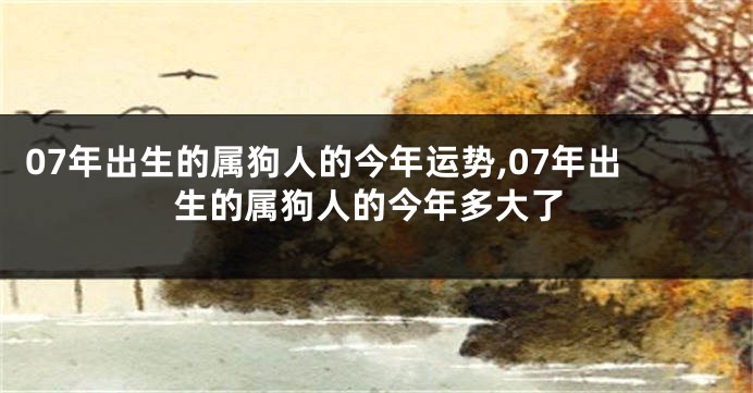 07年出生的属狗人的今年运势,07年出生的属狗人的今年多大了