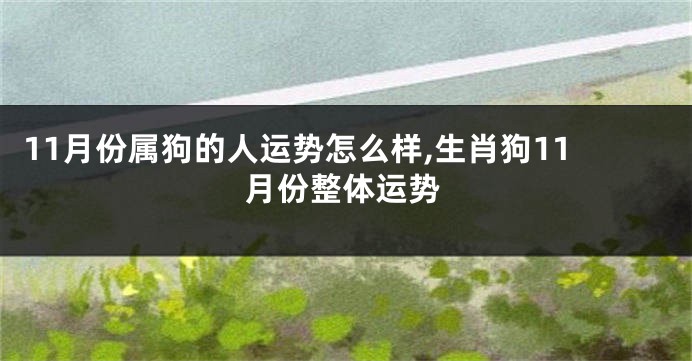 11月份属狗的人运势怎么样,生肖狗11月份整体运势