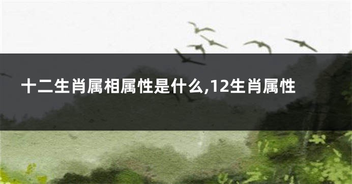 十二生肖属相属性是什么,12生肖属性