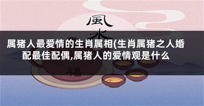 属猪人最爱情的生肖属相(生肖属猪之人婚配最佳配偶,属猪人的爱情观是什么
