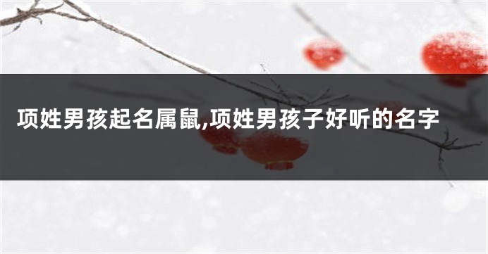 项姓男孩起名属鼠,项姓男孩子好听的名字