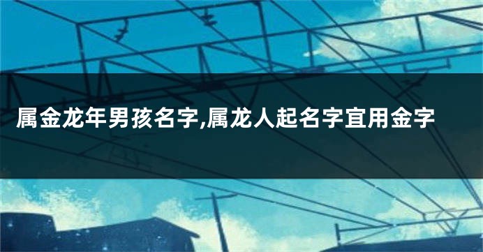 属金龙年男孩名字,属龙人起名字宜用金字