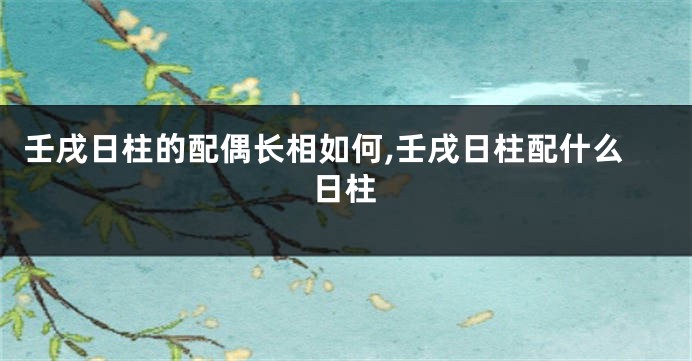 壬戌日柱的配偶长相如何,壬戌日柱配什么日柱