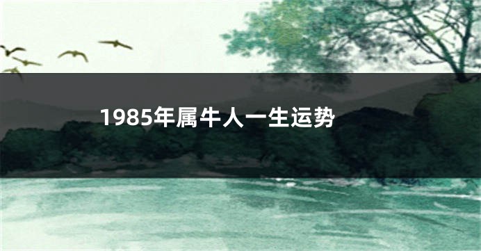 1985年属牛人一生运势