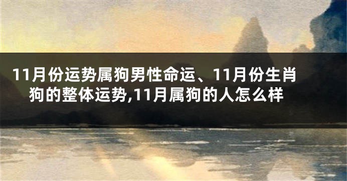 11月份运势属狗男性命运、11月份生肖狗的整体运势,11月属狗的人怎么样