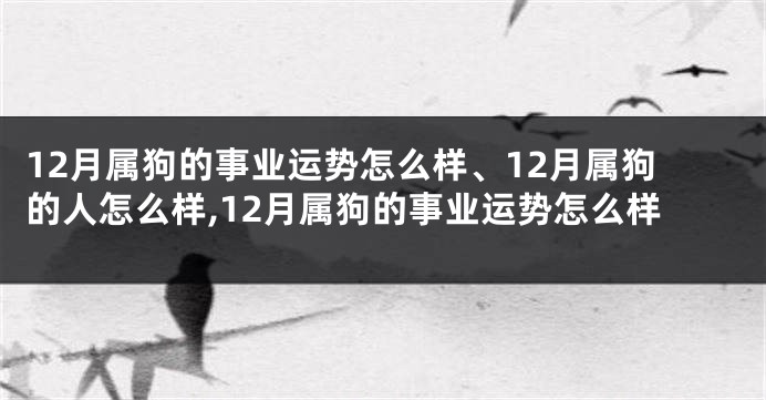 12月属狗的事业运势怎么样、12月属狗的人怎么样,12月属狗的事业运势怎么样