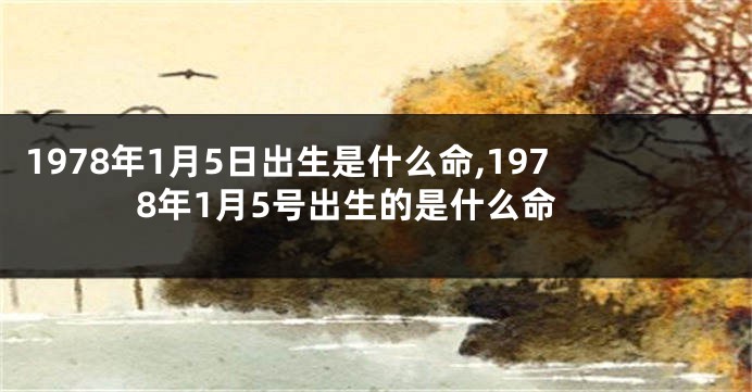1978年1月5日出生是什么命,1978年1月5号出生的是什么命
