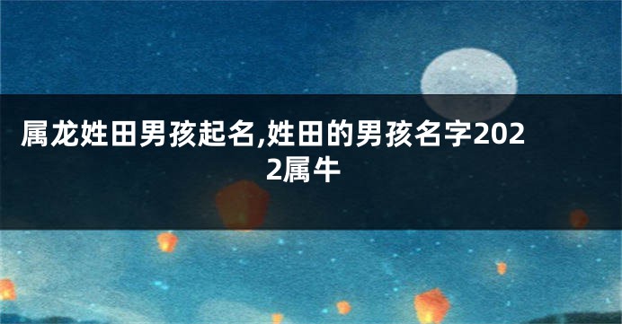 属龙姓田男孩起名,姓田的男孩名字2022属牛