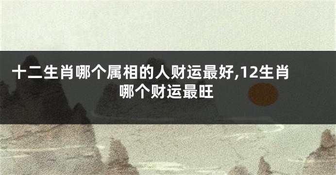 十二生肖哪个属相的人财运最好,12生肖哪个财运最旺