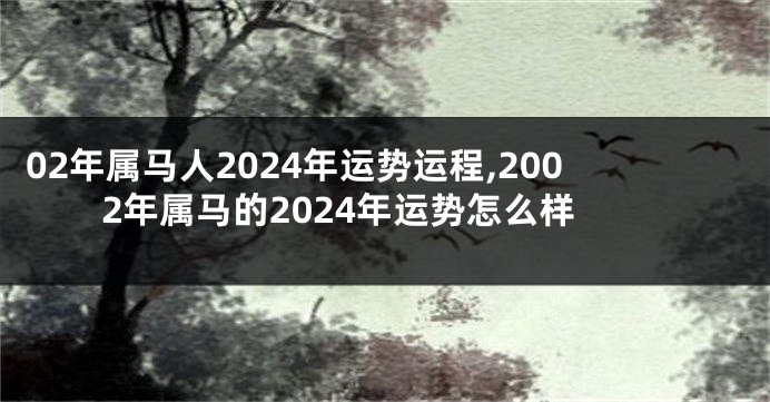 02年属马人2024年运势运程,2002年属马的2024年运势怎么样