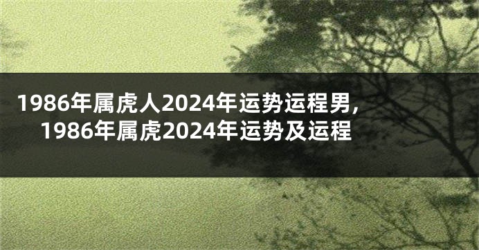 1986年属虎人2024年运势运程男,1986年属虎2024年运势及运程