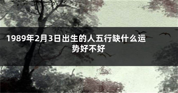 1989年2月3日出生的人五行缺什么运势好不好