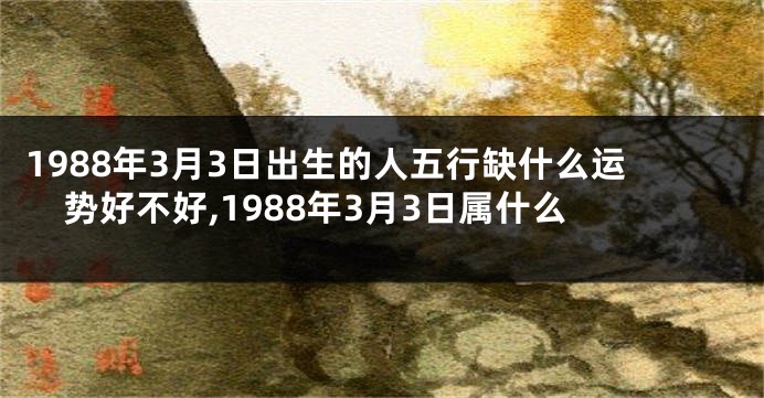 1988年3月3日出生的人五行缺什么运势好不好,1988年3月3日属什么