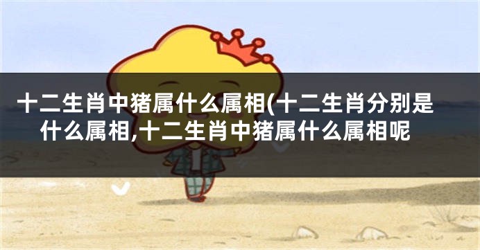 十二生肖中猪属什么属相(十二生肖分别是什么属相,十二生肖中猪属什么属相呢