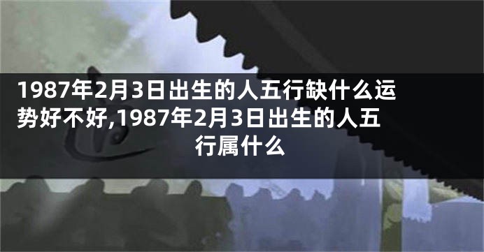 1987年2月3日出生的人五行缺什么运势好不好,1987年2月3日出生的人五行属什么