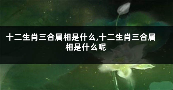 十二生肖三合属相是什么,十二生肖三合属相是什么呢