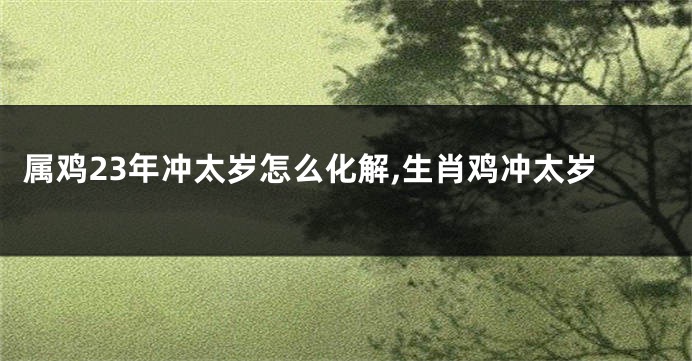 属鸡23年冲太岁怎么化解,生肖鸡冲太岁