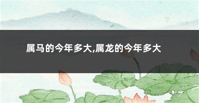 属马的今年多大,属龙的今年多大