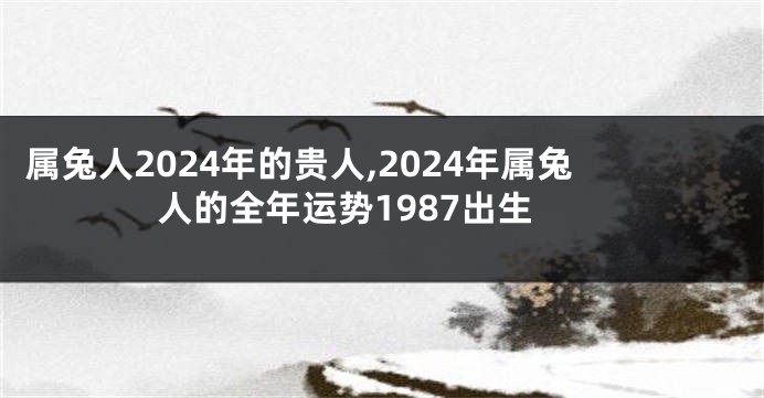 属兔人2024年的贵人,2024年属兔人的全年运势1987出生