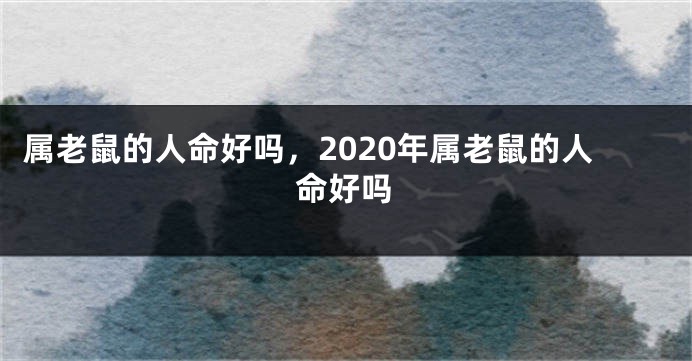 属老鼠的人命好吗,2020年属老鼠的人命好吗