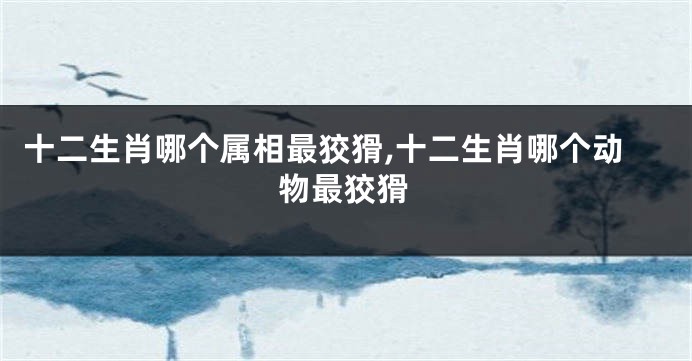 十二生肖哪个属相最狡猾,十二生肖哪个动物最狡猾