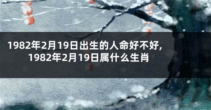 1982年2月19日出生的人命好不好,1982年2月19日属什么生肖
