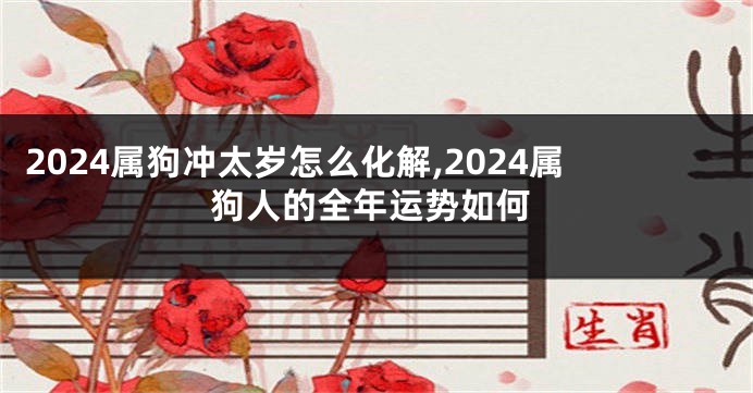 2024属狗冲太岁怎么化解,2024属狗人的全年运势如何