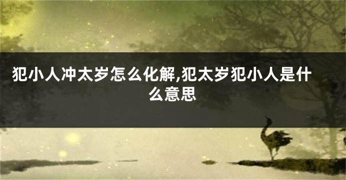 犯小人冲太岁怎么化解,犯太岁犯小人是什么意思