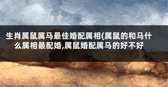 生肖属鼠属马最佳婚配属相(属鼠的和马什么属相最配婚,属鼠婚配属马的好不好