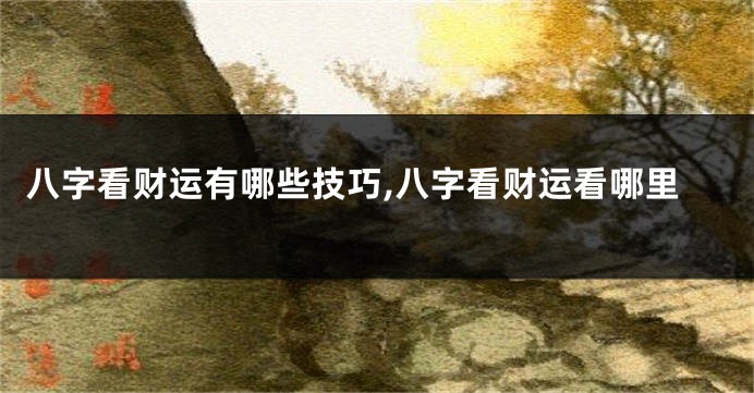 八字看财运有哪些技巧,八字看财运看哪里