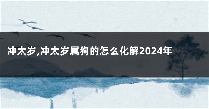 冲太岁,冲太岁属狗的怎么化解2024年