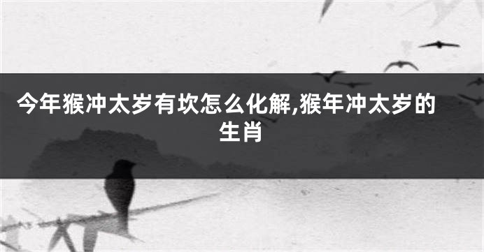今年猴冲太岁有坎怎么化解,猴年冲太岁的生肖