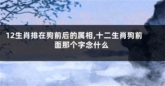 12生肖排在狗前后的属相,十二生肖狗前面那个字念什么