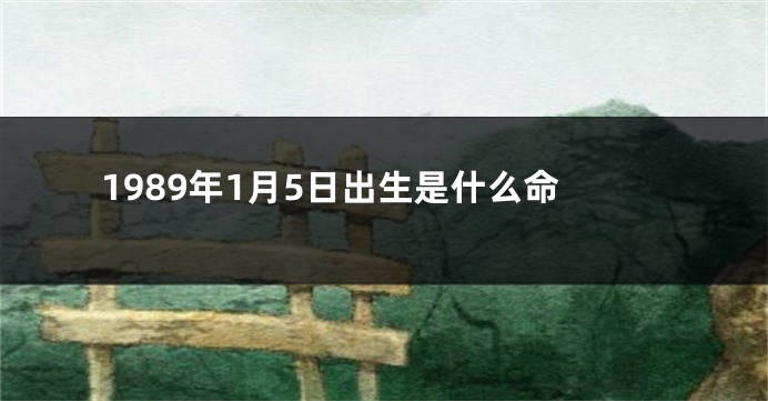 1989年1月5日出生是什么命