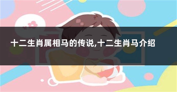 十二生肖属相马的传说,十二生肖马介绍
