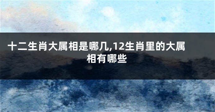 十二生肖大属相是哪几,12生肖里的大属相有哪些