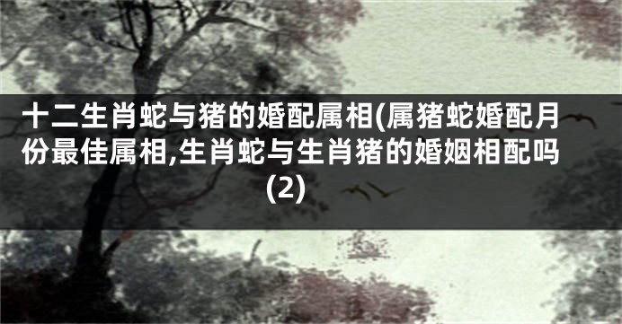 十二生肖蛇与猪的婚配属相(属猪蛇婚配月份最佳属相,生肖蛇与生肖猪的婚姻相配吗(2)