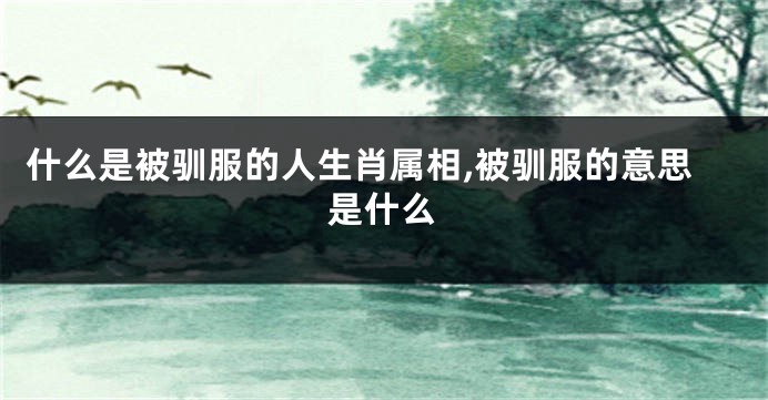 什么是被驯服的人生肖属相,被驯服的意思是什么