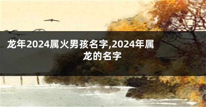 龙年2024属火男孩名字,2024年属龙的名字