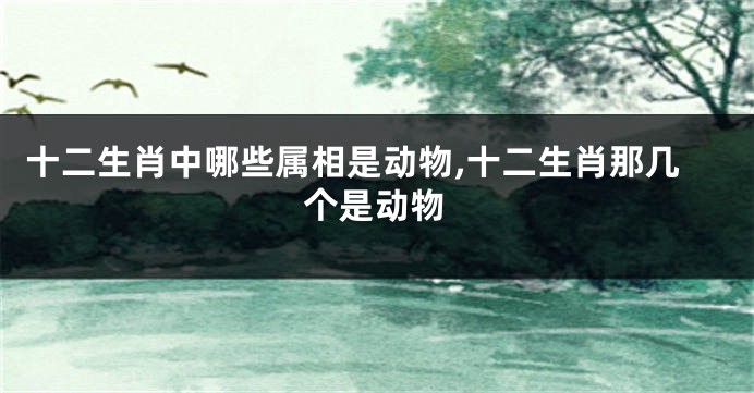 十二生肖中哪些属相是动物,十二生肖那几个是动物