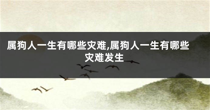 属狗人一生有哪些灾难,属狗人一生有哪些灾难发生