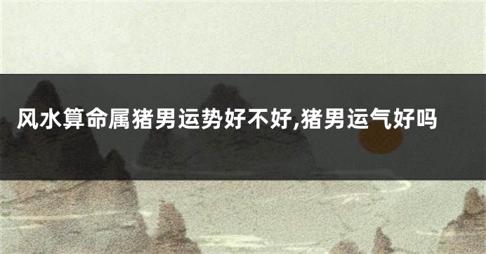 风水算命属猪男运势好不好,猪男运气好吗