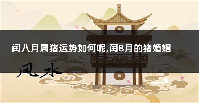 闰八月属猪运势如何呢,闰8月的猪婚姻